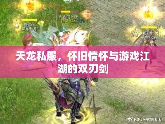 热血开挂番热血外挂，游戏世界的双刃剑