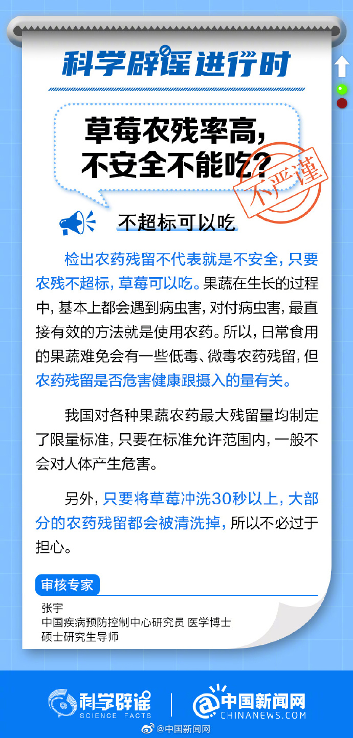 国产9草莓成人APP的探讨与解析-第2张图片