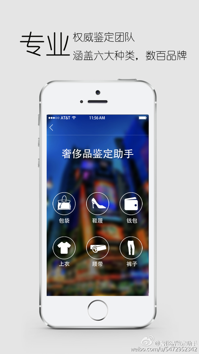鉴定师APP免费，让专业鉴定触手可及-第2张图片