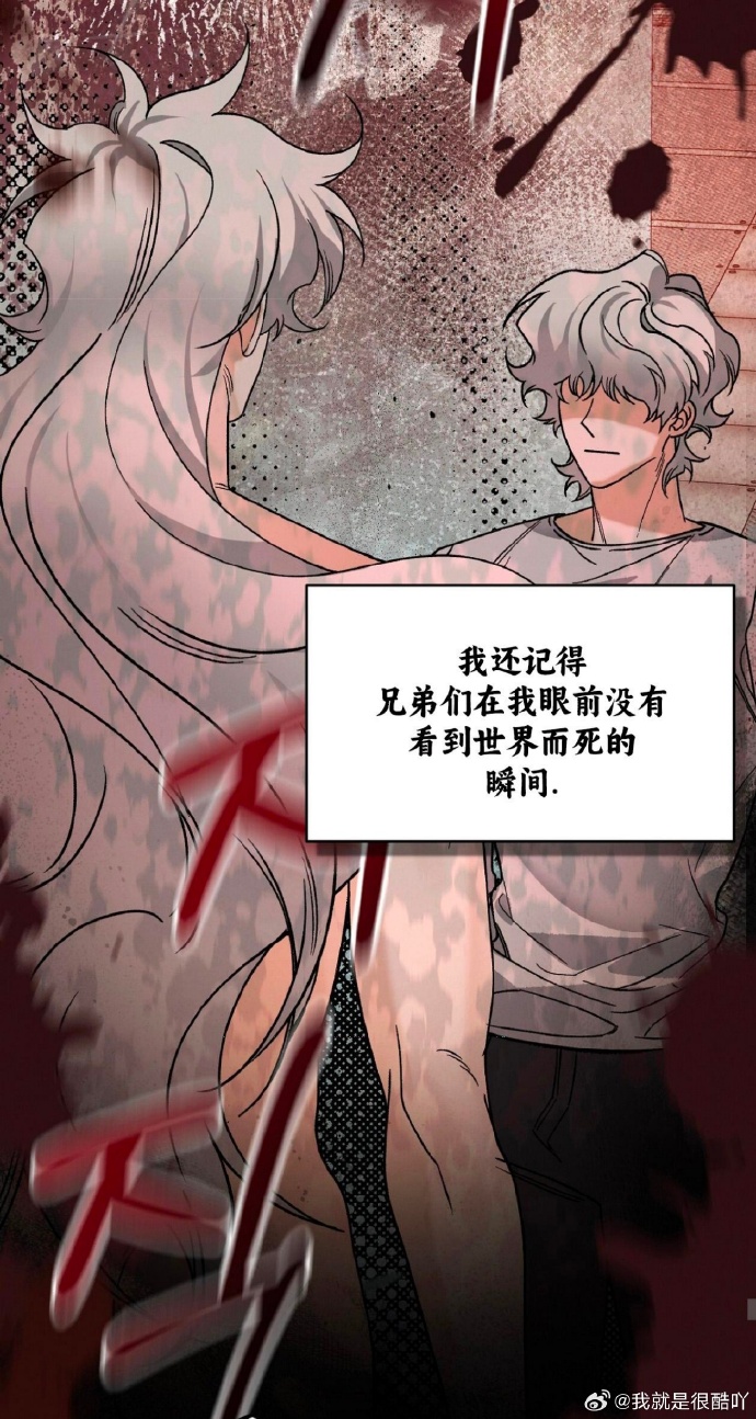 愚蠢的死法攻略在线观看愚蠢的死法攻略，切勿触碰的生命禁区-第2张图片