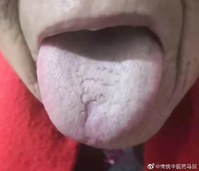 舌奴是啥意思舌奴视频vk，探索网络视频的魅力与影响-第2张图片