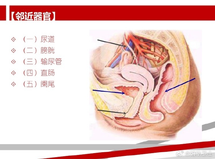 探讨女性性健康与性教育的重要性——以女人ZOZOZO禽交为引子