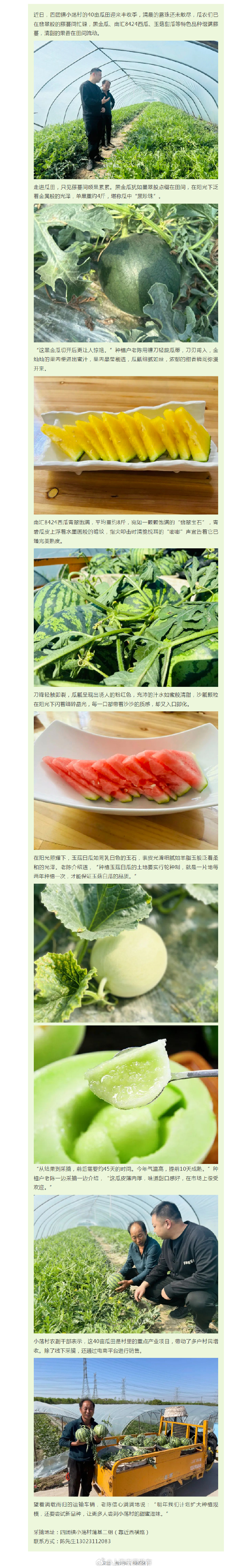 黄瓜秋葵草莓丝瓜荔枝香蕉绿巨人多彩果蔬的盛宴——黄瓜、秋葵、草莓、丝瓜、荔枝、香蕉与绿巨人的奇妙世界-第2张图片