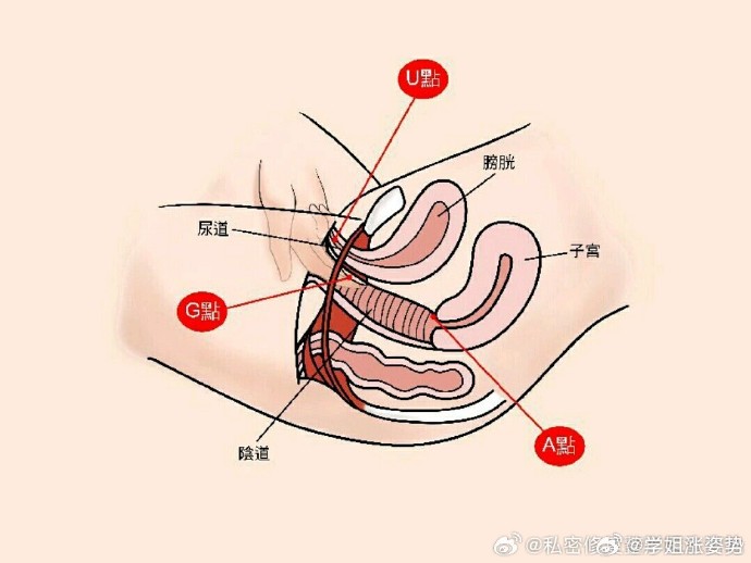 女性私密部位特征，大阴蒂与多毛茸的阴毛-第2张图片