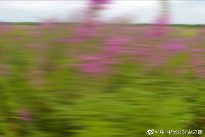 一个人www在线观看免费中文视频免费中文在线观看体验，一个人的探索之旅-第2张图片