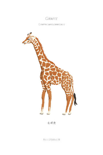 yy进不去频道无法进入频道——关于yy进不去频道的困扰与解决-第1张图片