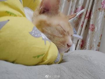 亚洲伊人久久综合成人|尤酸乳探索亚洲伊人久久综合的多元魅力-第2张图片