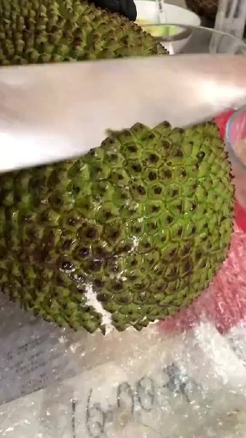 菠萝蜜视频app免费观看，探索无限精彩的世界