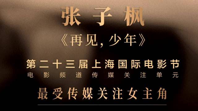 糖果传媒mv国产在线观看糖果传媒MV国产，探索国产音乐视频的魅力-第2张图片