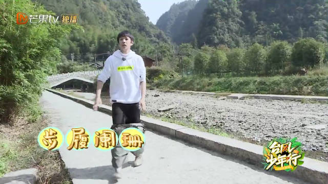 麻豆乱码芒果的2021年探索之旅