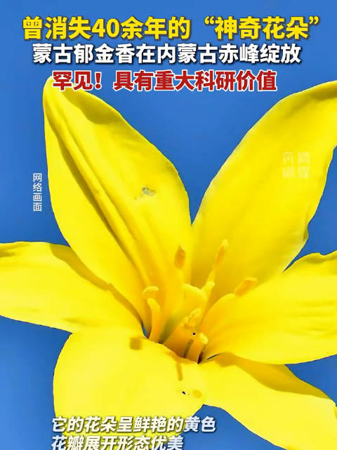 牛刀微博牛刀微博，观察社会现象的独特视角-第3张图片