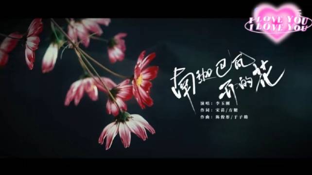 忘忧草视频，高清免费观看的快乐源泉-第1张图片