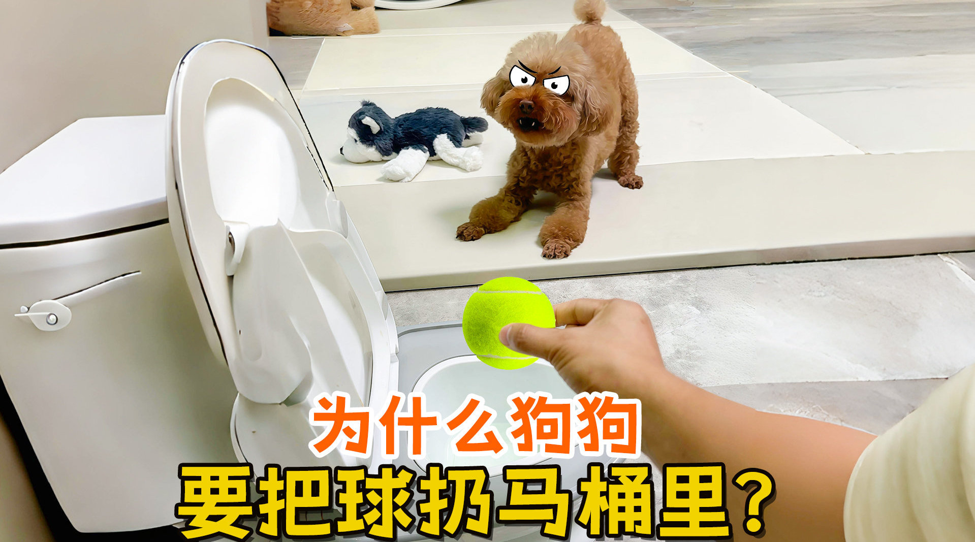 把狗狗的大东西放在里面巧妙利用空间——把狗狗的大东西放在里面-第1张图片