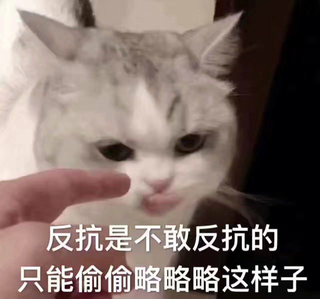 偷偷地爱偷天换日，一场不为人知的偷偷掳撸事件