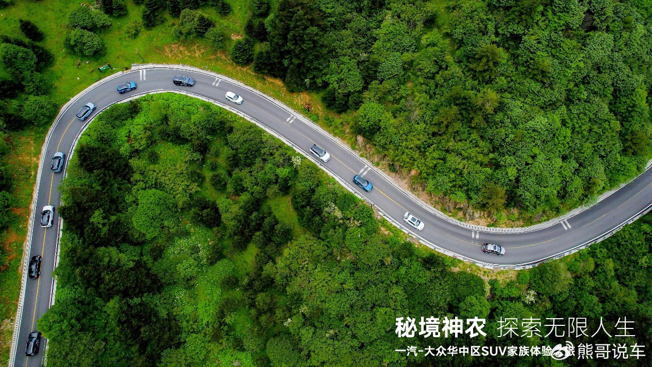 岳的下面又大又黑又肥岳的神秘之处，下面又大又黑又肥的探索之旅