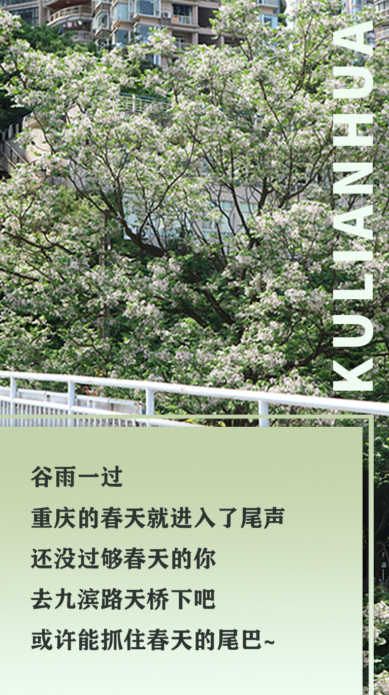 我和他在公交最后一排的邂逅-第2张图片
