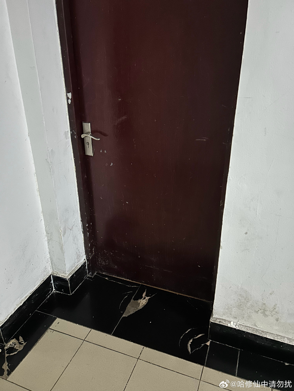 506女生宿舍王山炳和钱兰506女生宿舍的青春故事-第3张图片