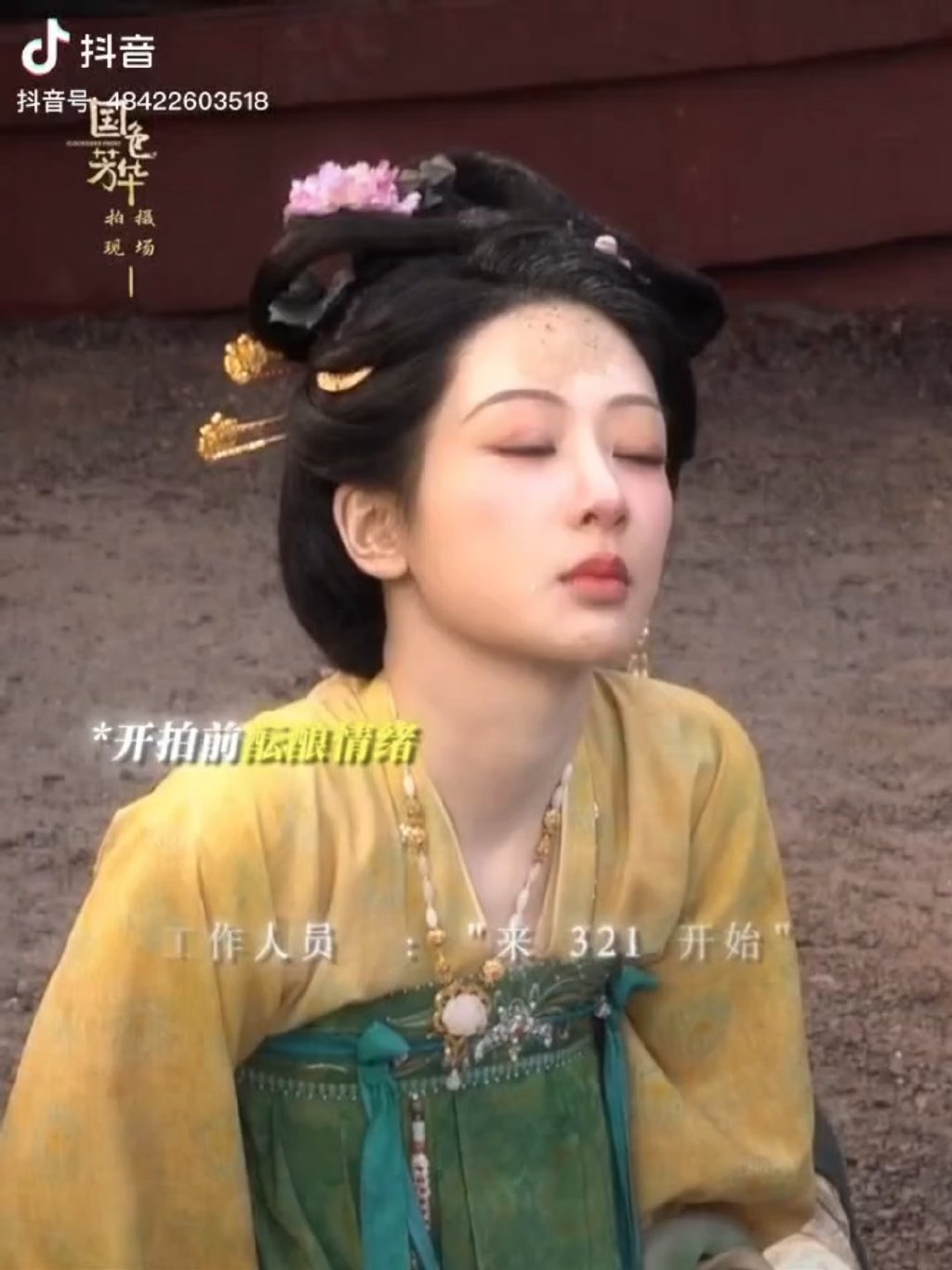 杨紫的演技深度，探索其精湛表演的魅力-第2张图片