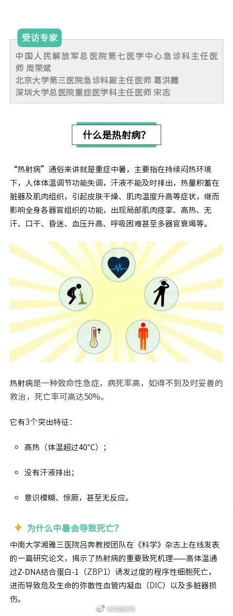 狗狗热射病症状春雨医生，狗狗射速太快，我该如何应对？-第3张图片