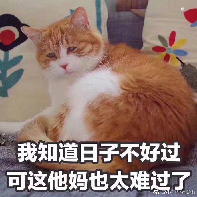 大学第一次没了怎么办大学初遇，第一次的失落与新生