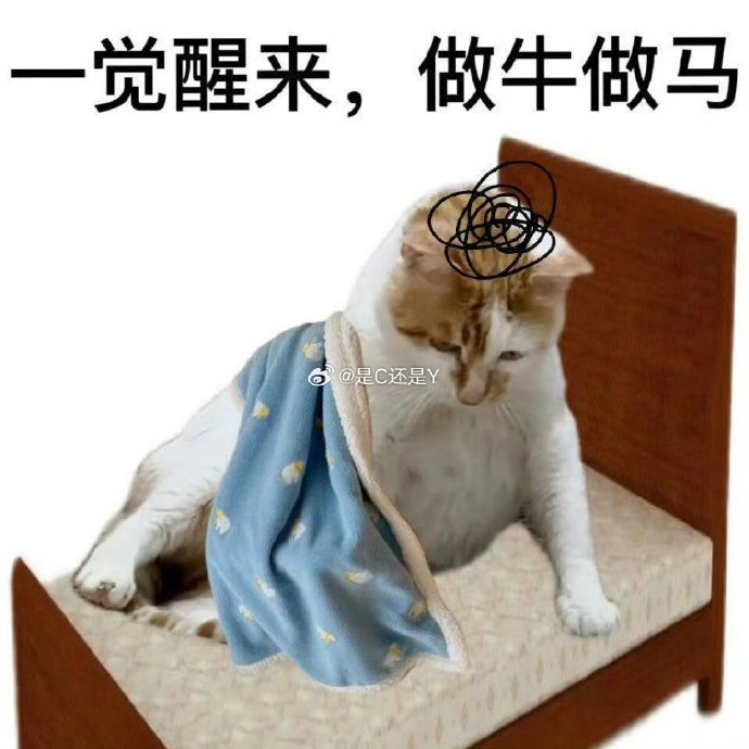 醒来时发现已经在C了醒来后，我竟然已经在C了