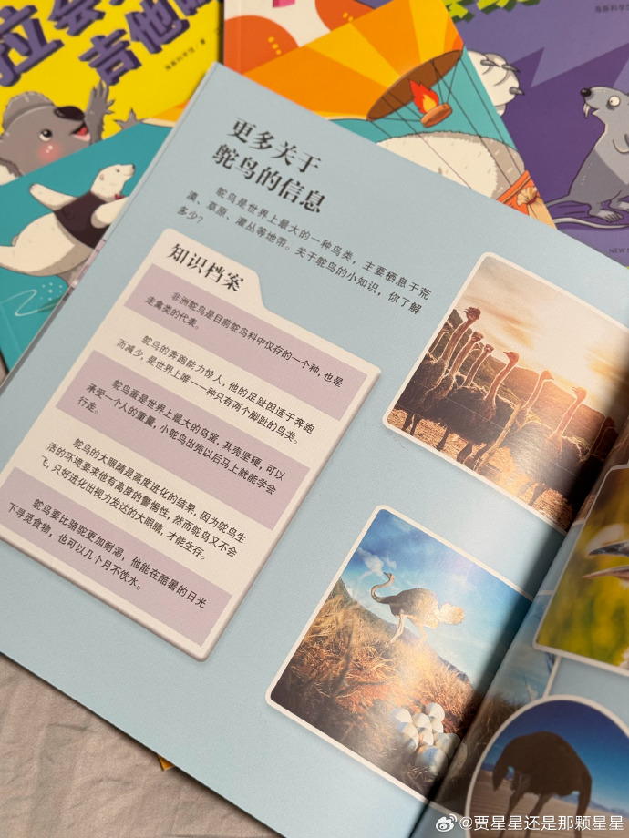 探索网络世界中的一本大道现象，卡一卡二卡三乱码的解析