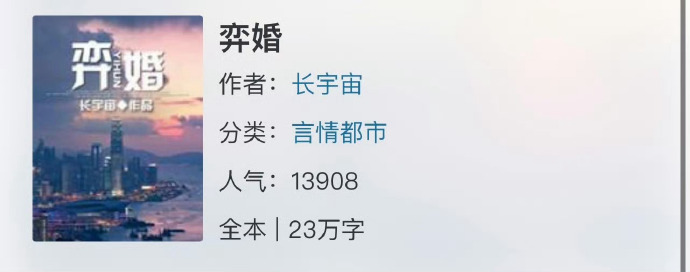成为亮子的媳妇儿 小说媳妇儿——生活的甜蜜小说-第1张图片