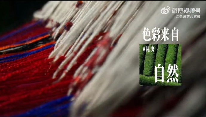 探索色色色999韩文化，一场视觉与情感的盛宴