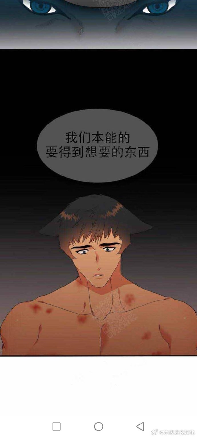 三只狼兄的宠妻唐柔厉瑾瑜最新章节三只狼兄的守护——唐柔与厉瑾瑜的深情故事-第2张图片