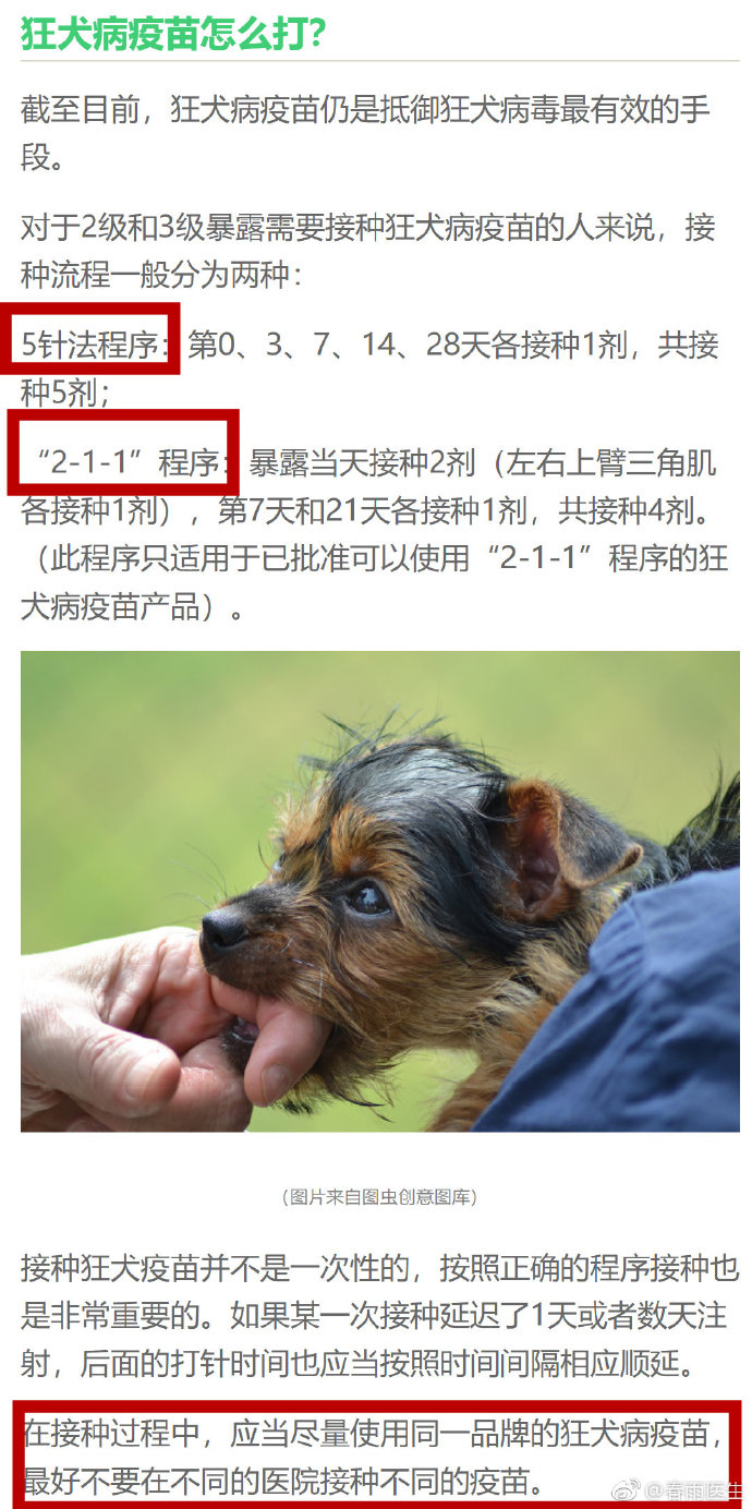 狗狗大东西直接进卡在里面,春雨医生狗狗的大东西意外卡住，一次温馨的救援经历-第3张图片
