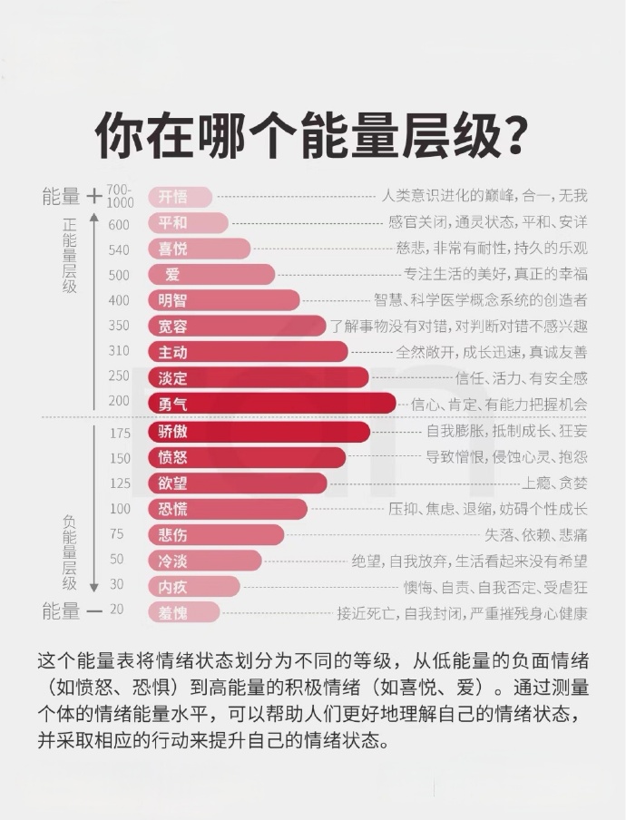 人性理论与XY理论，探索其内在联系与影响