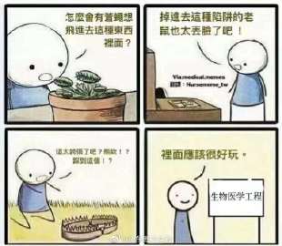 同桌的秘密花园-第2张图片