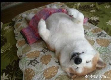 再深点灬舒服灬太大了O探索深处的极致体验-第3张图片