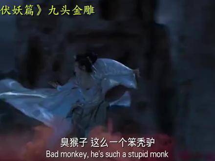 8X在线视频8X8X在线视频，开启全新观影体验