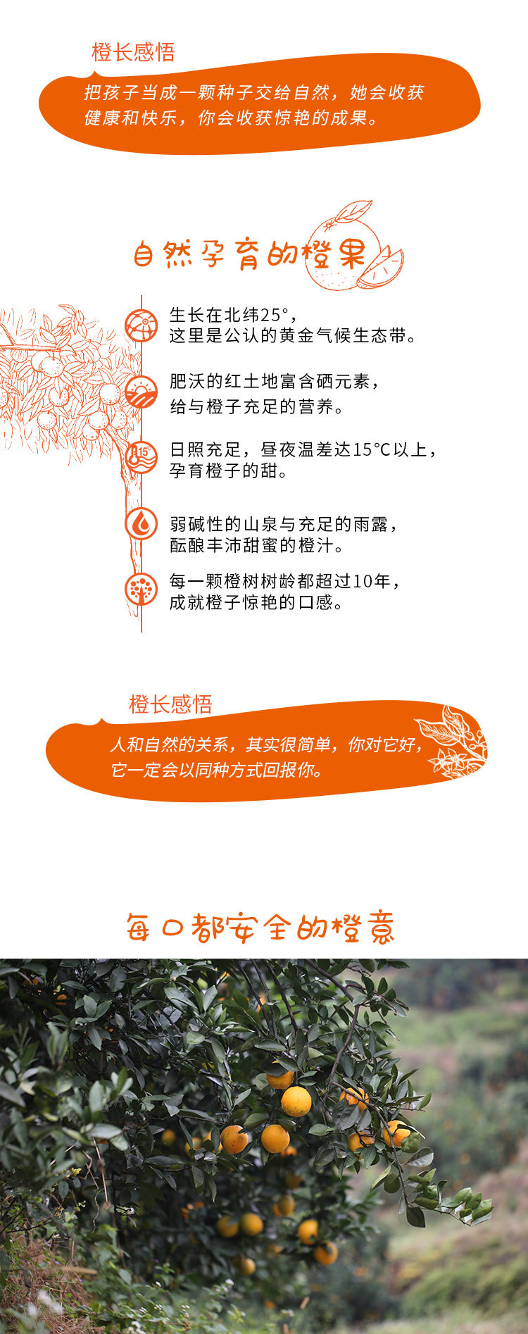 麻豆精产国品一二三产区区农民麻豆精产国品一二三产区区农民的多元生活-第3张图片