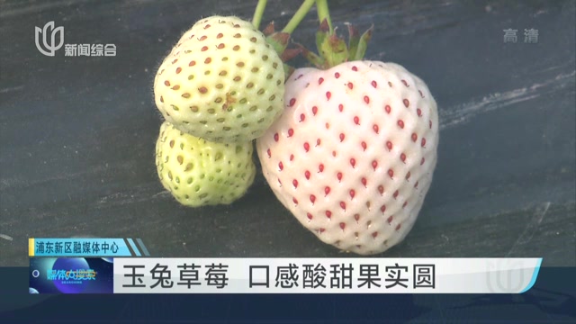 草莓视频未满十八岁能看吗草莓视频与未成年人保护