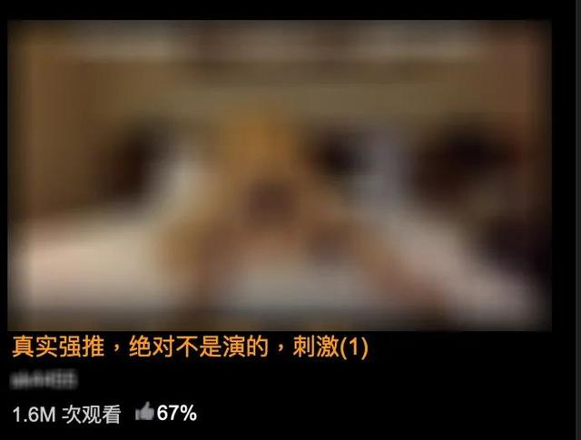 免费观看又色又爽又湿的视频软件免费观看优质色情视频软件推荐-第2张图片