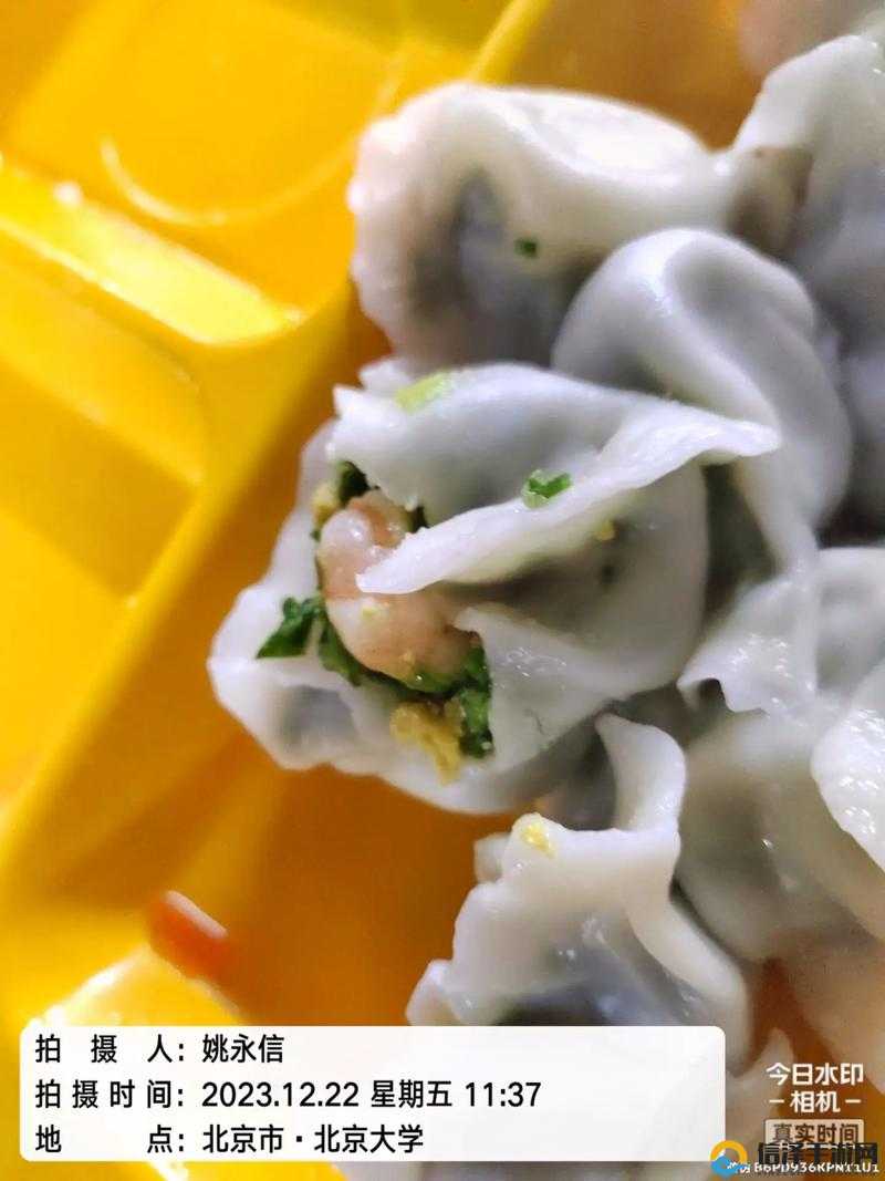 江教授要稳住肉馅小水饺视频江教授稳住肉馅小水饺视频的魅力与制作秘籍-第3张图片