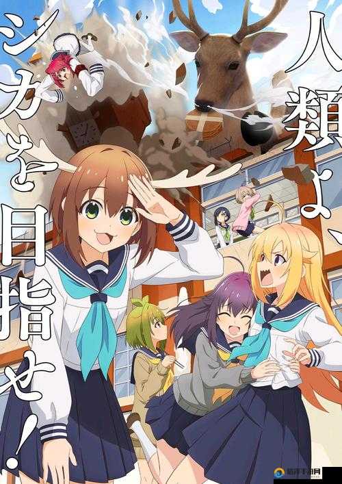 樱花动漫官方版正版，体验纯粹的动漫世界
