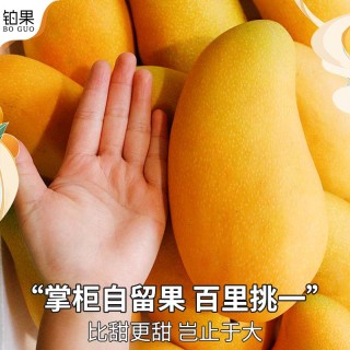 芒果精品一二三线路区域产品中的芒果精品——解码P系列之谜