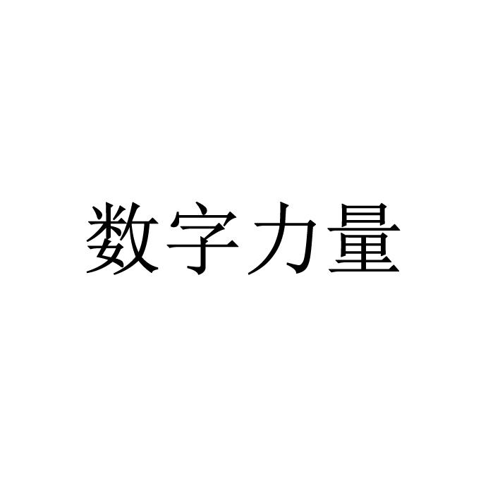 网站推广团队，推动数字世界的前行力量
