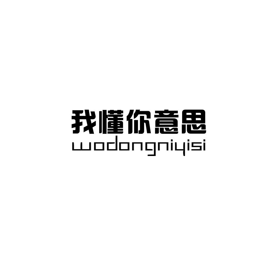 网站你懂我意思正能量不用下载免费观看网站，你懂我意思，正能量无需下载，免费观看