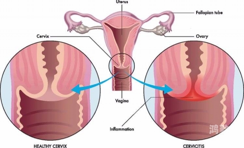 关于女性与性爱视频的探讨-第2张图片