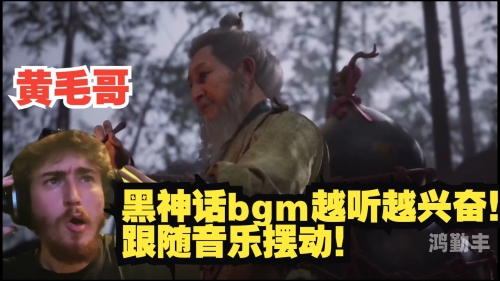 BGMBGM老太太毛多多金属BGMBGM下的老太太与她的毛多多金属故事-第1张图片