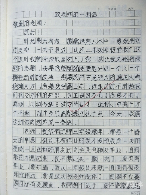 老师的兔子又大又好吃作文老师与大兔子，美味与教育的双重体验-第2张图片