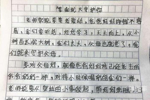 老师的兔子又大又好吃作文老师与大兔子，美味与教育的双重体验-第1张图片