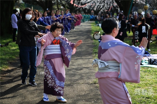 日本欧美中文字幕人在线的多元文化交流-第3张图片