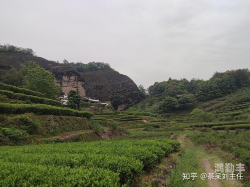 水帘洞肉桂水蜜桃k8免费观看水帘洞下的肉桂水蜜桃，K8的神秘传说-第2张图片