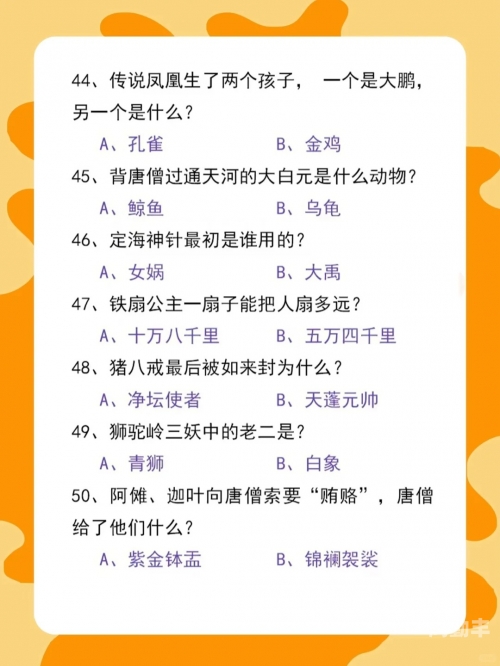 第一中文探索第一中文的魅力与重要性