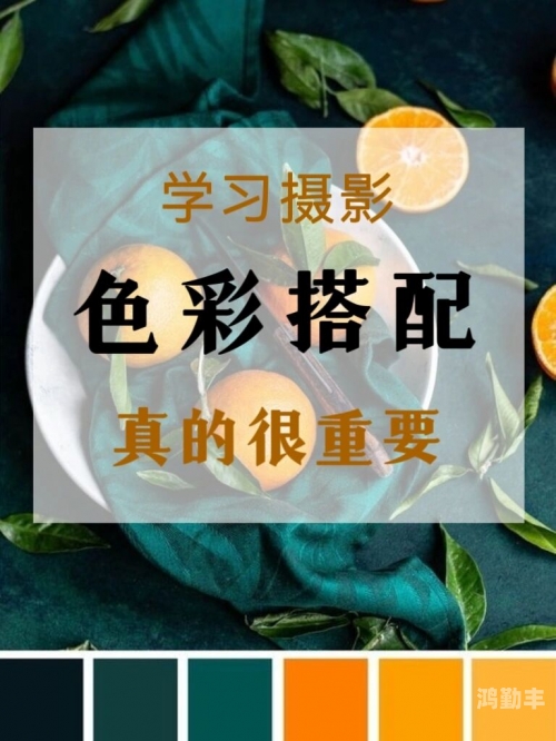 色相导航色中色网址导航——探索网络世界的便捷之选-第2张图片